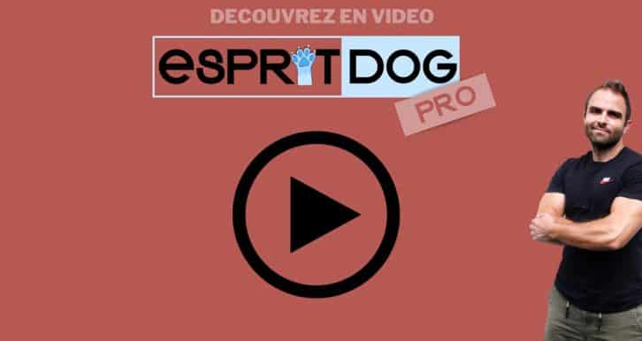 vignette video esprit dog pro en ligne