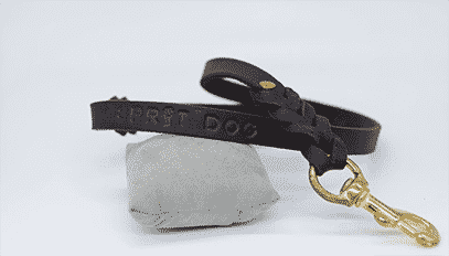 laisse tressée pour chien