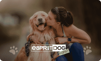 affiche esprit dog family