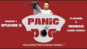 PANIC DOG - Saison 1 - Episode 5 - Cane corso destructeur