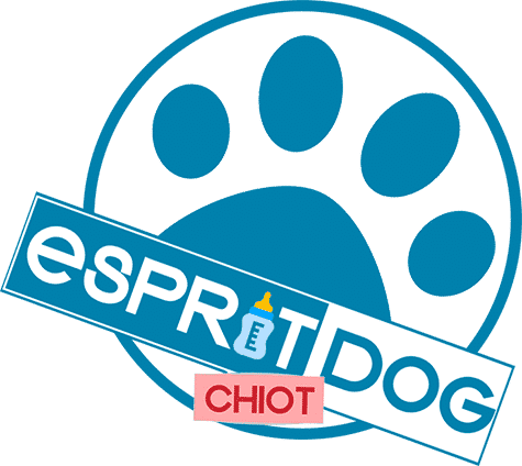 Esprit dog chiot