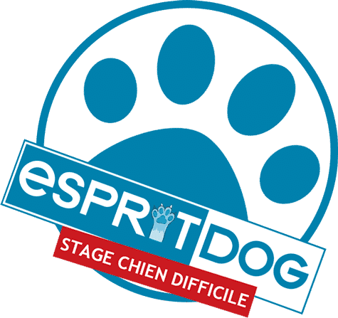 Logo stage chien difficile