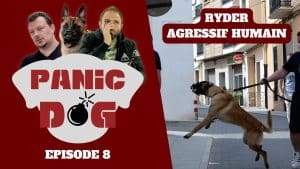 PANIC DOG - Saison 1 - Episode 8 - Malinois AGRESSIF humain