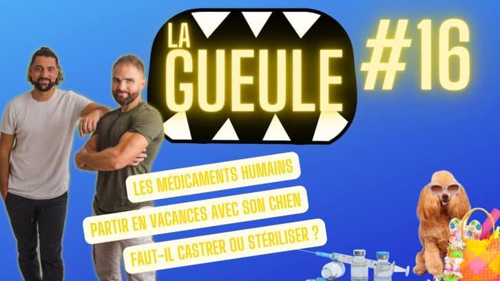 La Gueule 16