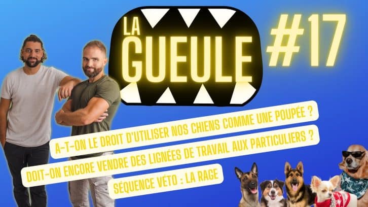 La gueule 17