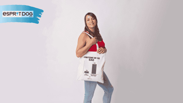 tote bag contenu de ce sac