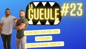 La Gueule ! #23 - La cage dans l