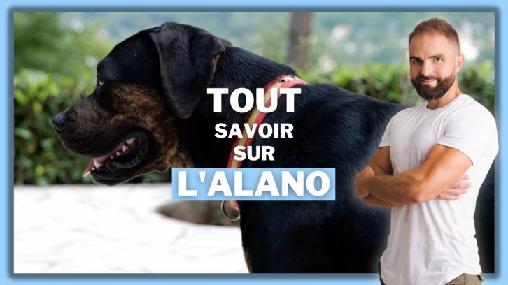 Vidéo Alano