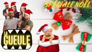LA GUEULE DE NOEL !! Des cadeaux, et toutes vos questions d