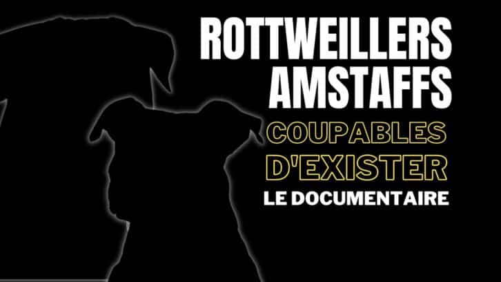 Docu-Rott-Staff