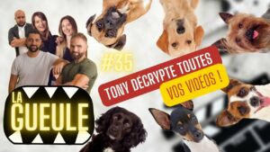 La GUEULE #35 - On décrypte vos vidéos !