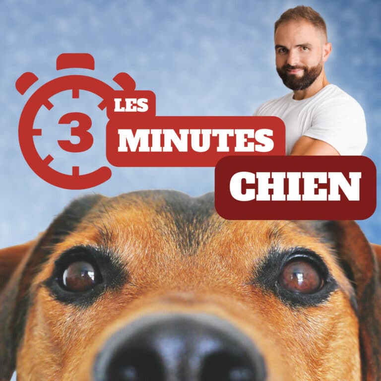 Un chien peut-être raciste ?