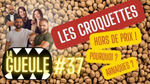 La GUEULE #37 - CROQUETTES hors de prix ! Pourquoi ? Arnaque ? Astuces ?