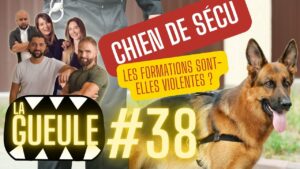 La GUEULE #38 - Chiens de Sécu : Les formations sont-elles violentes ?