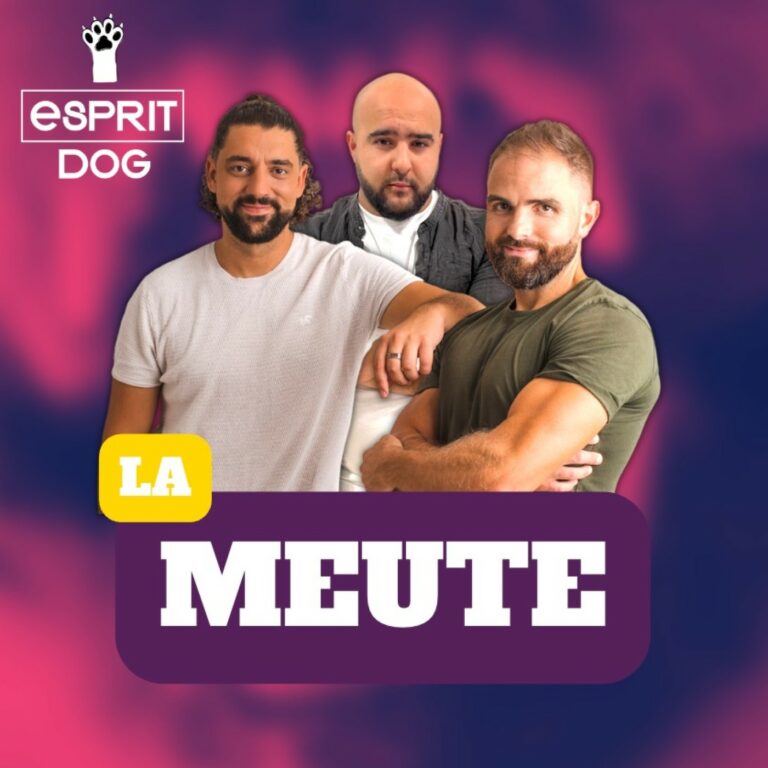 Des chiens policiers pour se brosser le dos dans un avion !
