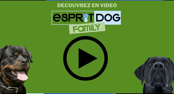 Vignette présentation espritdog family