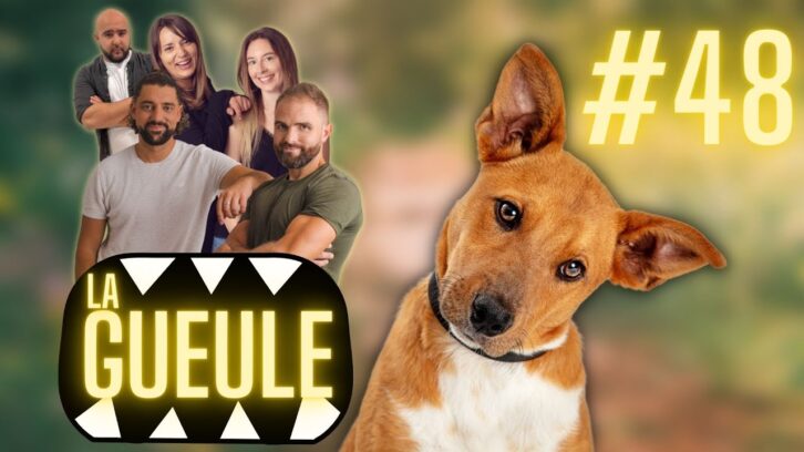 la gueule #48 esprit dog
