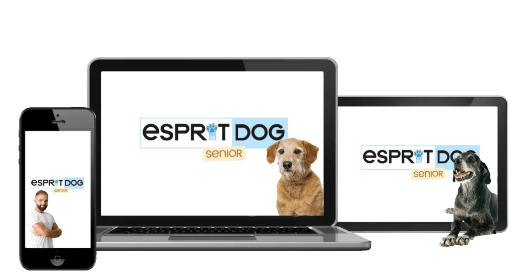 Formation Esprit Dog Senior