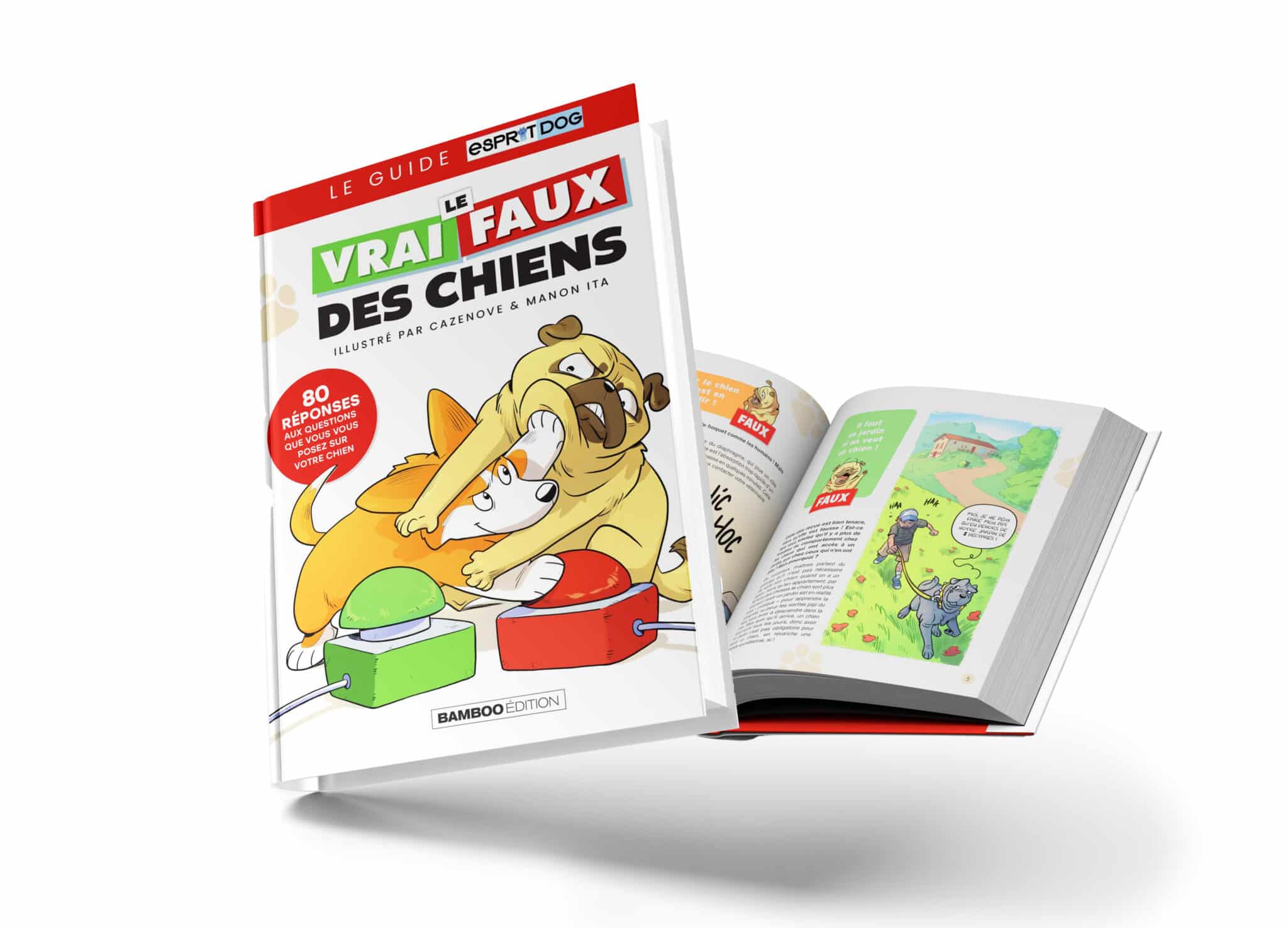 Livre le VRAI / FAUX du chien.