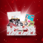 Box de Noël Esprit Dog